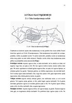 Prakses atskaite 'Prakses atskaite', 11.