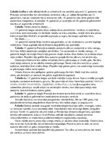 Prezentācija 'Gotika', 12.