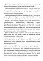 Referāts 'Anēmija', 10.