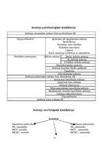 Referāts 'Anēmija', 11.