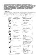 Referāts 'Anēmija', 13.