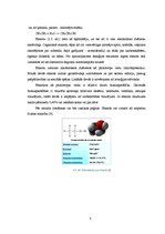 Referāts 'Spirta ražošanas tehnoloģiskais process un iekārtas', 8.