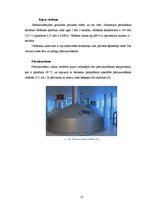 Referāts 'Spirta ražošanas tehnoloģiskais process un iekārtas', 12.