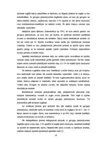 Referāts 'Spirta ražošanas tehnoloģiskais process un iekārtas', 19.