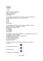 Konspekts 'Jautājumi darba aizsardzības jomā būvniecības nozarē strādājošo zināšanu pārbaud', 5.