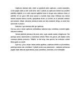 Biznesa plāns 'Biznesa plāns picērijas SIA „M-Kafe” darbības uzsākšanai', 8.