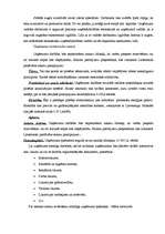 Biznesa plāns 'Biznesa plāns picērijas SIA „M-Kafe” darbības uzsākšanai', 10.