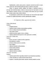 Biznesa plāns 'Biznesa plāns picērijas SIA „M-Kafe” darbības uzsākšanai', 11.