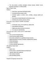 Biznesa plāns 'Biznesa plāns picērijas SIA „M-Kafe” darbības uzsākšanai', 12.