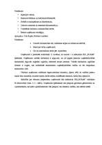 Biznesa plāns 'Biznesa plāns picērijas SIA „M-Kafe” darbības uzsākšanai', 13.