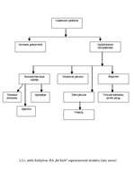 Biznesa plāns 'Biznesa plāns picērijas SIA „M-Kafe” darbības uzsākšanai', 15.