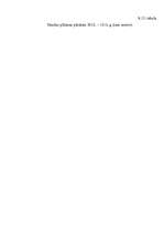 Biznesa plāns 'Biznesa plāns picērijas SIA „M-Kafe” darbības uzsākšanai', 45.