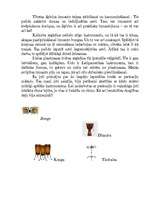 Konspekts 'Āfrikāņu tautas ritmi', 2.