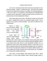 Referāts 'Jauns produkts Latvijā - Reactive Sport Slimline', 6.