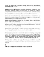 Konspekts 'Atskaņu hronikā minēto personu vārdi un vietu nosaukumi ar skaidrojumiem alfabēt', 19.