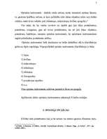 Referāts 'Optiskie instrumenti', 4.