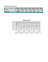 Biznesa plāns 'SIA ”Fast drive”', 8.