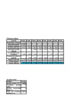 Biznesa plāns 'SIA ”Fast drive”', 11.