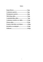 Biznesa plāns 'SIA ”Fast drive”', 16.