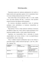 Biznesa plāns 'SIA ”Fast drive”', 20.