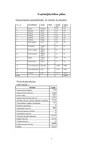 Biznesa plāns 'SIA ”Fast drive”', 22.