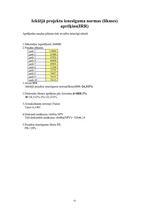 Biznesa plāns 'SIA ”Fast drive”', 33.