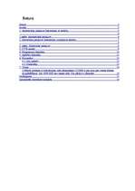 Referāts 'Internets caur satelītu', 2.