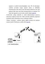 Referāts 'Internets caur satelītu', 8.