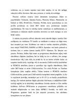 Referāts 'Internets caur satelītu', 11.