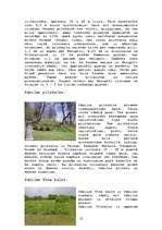 Referāts 'Kultūrvēsturiskās vērtības Abavas ielejā', 10.