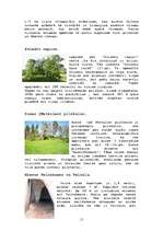 Referāts 'Kultūrvēsturiskās vērtības Abavas ielejā', 11.