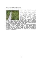 Referāts 'Kultūrvēsturiskās vērtības Abavas ielejā', 13.