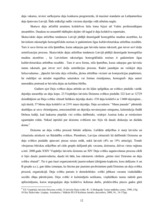 Referāts 'Dejas', 12.