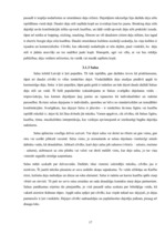 Referāts 'Dejas', 17.