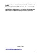 Referāts 'Produkcijas iepakojuma problēmas analīze', 13.