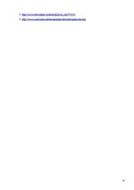 Referāts 'Produkcijas iepakojuma problēmas analīze', 14.