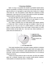 Referāts 'Pilnvērtīgas ēdienkartes izveide jaunzirgam', 6.