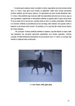 Referāts 'Pilnvērtīgas ēdienkartes izveide jaunzirgam', 24.