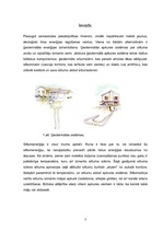 Referāts 'Ģeotermālās sistēmas un to izmantošana', 5.