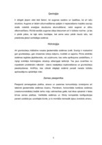 Referāts 'Ģeotermālās sistēmas un to izmantošana', 8.