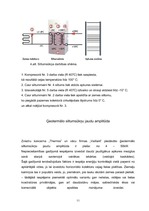 Referāts 'Ģeotermālās sistēmas un to izmantošana', 11.