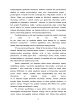 Referāts 'Ģeotermālās sistēmas un to izmantošana', 12.