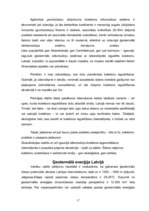 Referāts 'Ģeotermālās sistēmas un to izmantošana', 17.