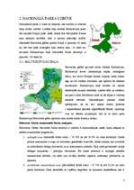 Referāts 'Belovežas nacionālais parks', 7.