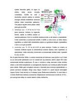 Referāts 'Belovežas nacionālais parks', 8.