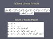 Prezentācija 'Paskāla trijstūris, Ņūtona binoms', 4.
