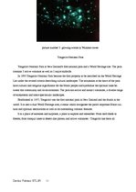 Referāts 'Tourism Situation in New Zealand', 11.