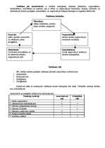 Konspekts 'Pārvaldes teorija', 21.