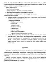 Konspekts 'Pārvaldes teorija', 31.