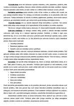 Konspekts 'Pārvaldes teorija', 36.